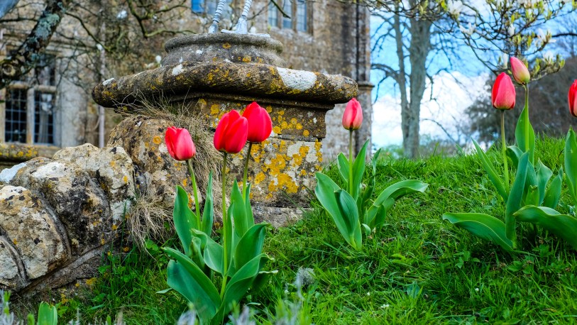 26538327895_23754f9b7b_k