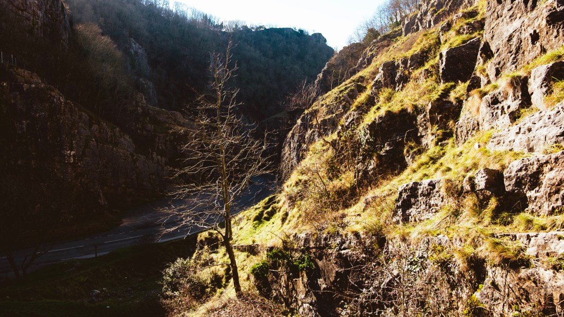 3FB4103C-2EAC-4910-9248-66B7A313DB04