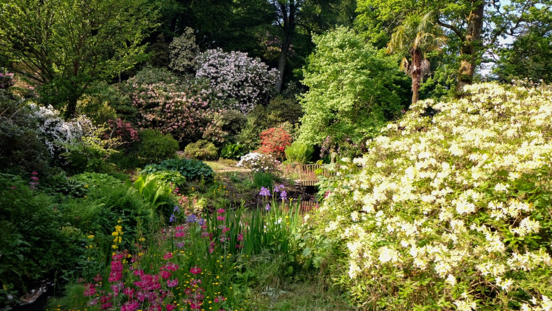 26919330244_26b626b36d_o