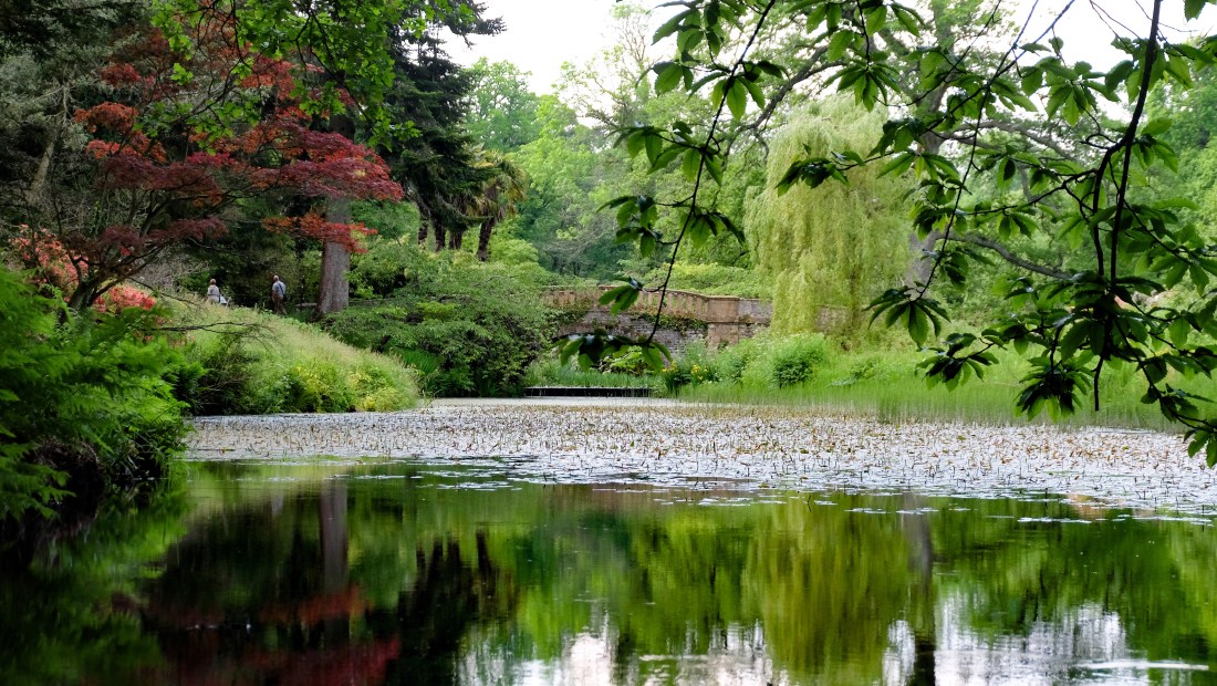 26920233423_6d642d0ca8_o